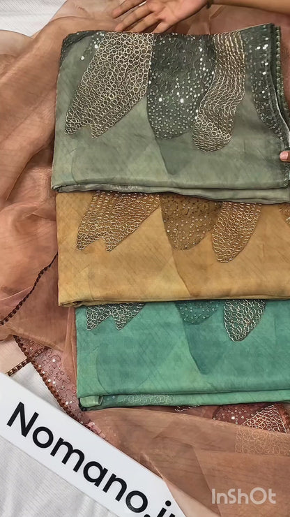 Reema - Tissue Organza Saree