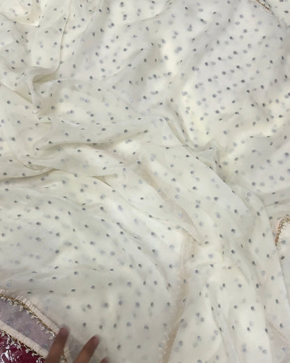 Saanvika 2